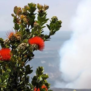 Meet your Posher, Kls